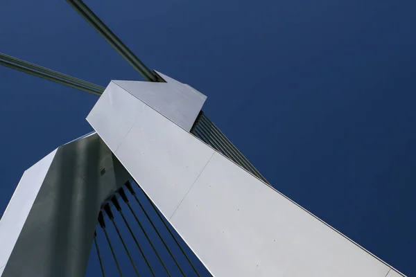 Rotterdam Nizozemsko Červenec 2015 Horní Části Mostu Erasmus Proti Modré — Stock fotografie