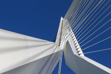 Güneşli bir günde Nieuwe Maas (Yeni Meuse) nehri üzerindeki Erasmus Köprüsü 'nün bir parçası. Rotterdam. Güney Hollanda, Hollanda.