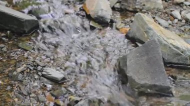 Dağ deresi taşların arasından akıyor..