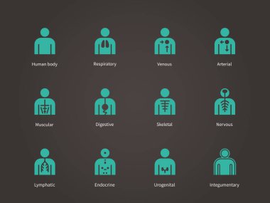 Anatomi insan sistemleri Icons set.