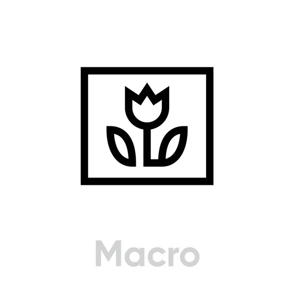 Makrobild-Symbol. Editierbarer Linienvektor. — Stockvektor