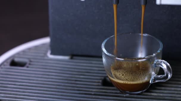 Versare Flusso Caffè Caldo Nero Dalla Macchina Professionale Tazza — Video Stock