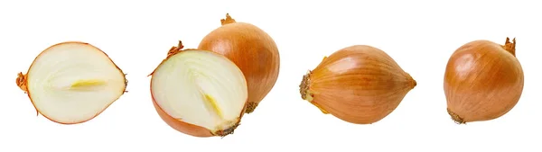 Set of onion vegetable with clipping path — Stock Photo, Image