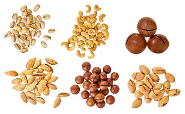 Beyaz izole bir arkaplan üzerinde kırpma yolu olan çeşitli fındıklar                                      