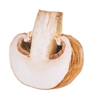 Şampiyon mantarları kırpma yolu ile beyaz izole bir arkaplanda                                