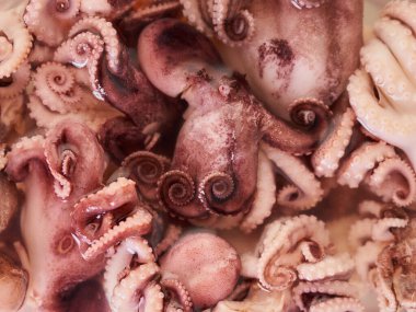 Bebek ahtapot dokusundan yemek arkaplanı yakın plan.                               