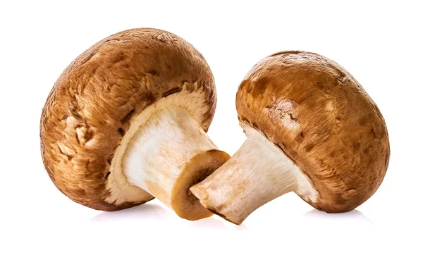Champignon Mushrooms White Isolated Background Clipping Path Stock Photo