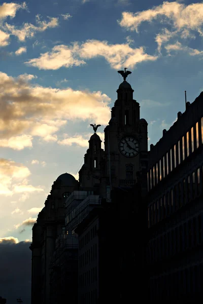 De lever gebouwen Liverpool in silhouet — Stockfoto