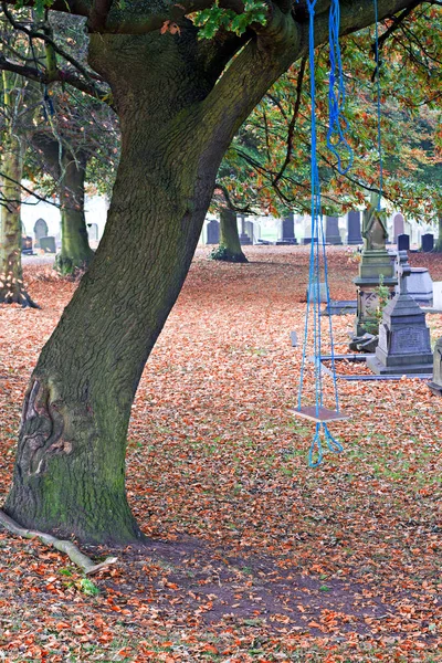 A childs homemade swing in a cemetery — Stock Photo, Image