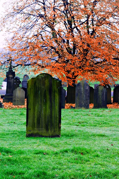 Tomma gamla gravstenar i en forntida begravningsplats — Stockfoto