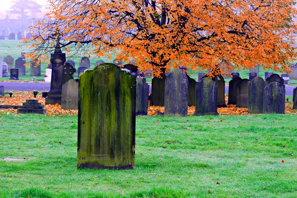 Lege oude grafstenen in een oude begraafplaats — Stockfoto