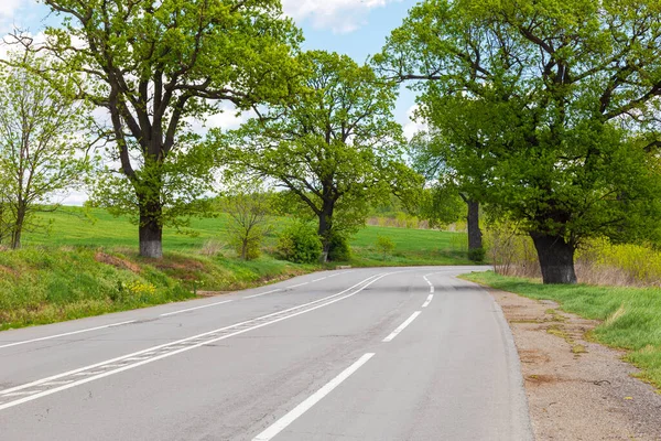 Paved road with road markings and trees on the side of the road in summer day.