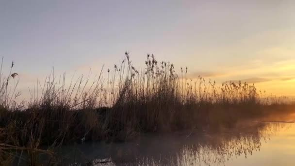 Un beau lever de soleil dans un fossé dans les zones humides de la région de Valence 