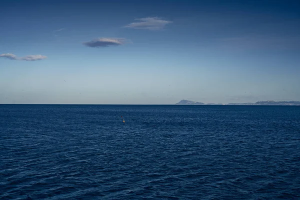 Martılar denizin mavi ufkunda uçar, minimalist.