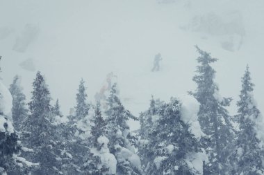 Karla kaplı ağaçlarla kaplı güzel kış manzarası