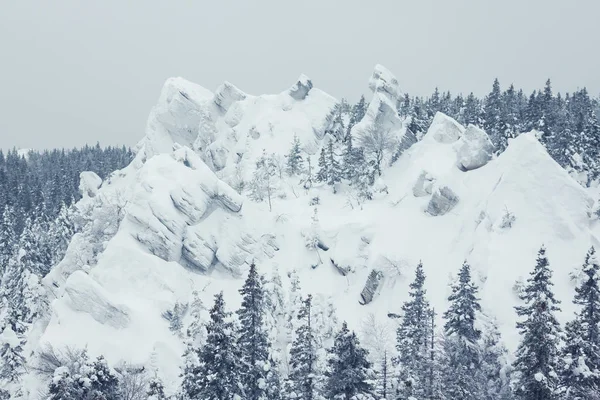 Χιονισμένα δέντρα στα βουνά — Φωτογραφία Αρχείου