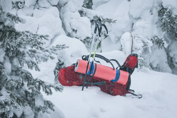 L'homme dans les bois avec le sac à dos rouge — Photo