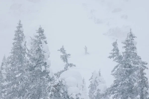 kış soğuk orman siste