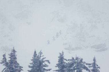 Taganai doğa parkı manzaralı dağ ve orman, Ural, Rusya Federasyonu