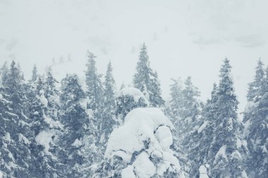 Taganai doğa parkı manzaralı dağ ve orman, Ural, Rusya Federasyonu