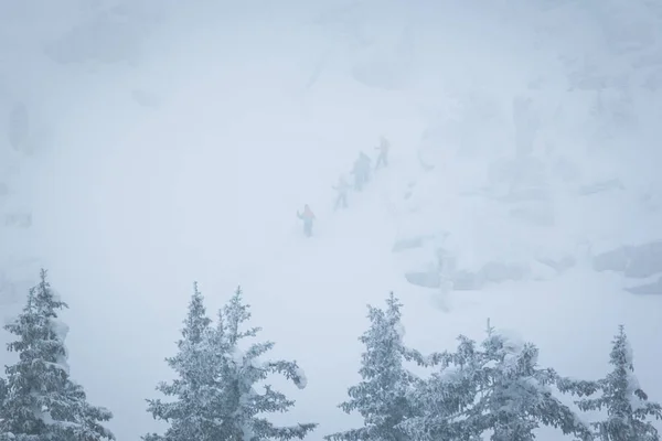 Forêt gelée hivernale dans le brouillard — Photo