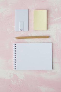 kurumsal kimlik tanıtımı. USB flash kart boş şablon için düz renk stili ile kurumsal kimlik.