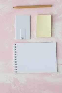 kurumsal kimlik tanıtımı. USB flash kart boş şablon için düz renk stili ile kurumsal kimlik.