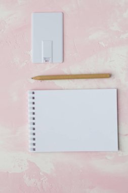 kurumsal kimlik tanıtımı. USB flash kart boş şablon için düz renk stili ile kurumsal kimlik.