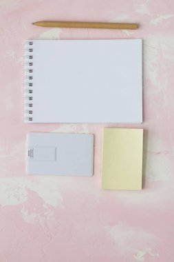 kurumsal kimlik tanıtımı. USB flash kart boş şablon için düz renk stili ile kurumsal kimlik.