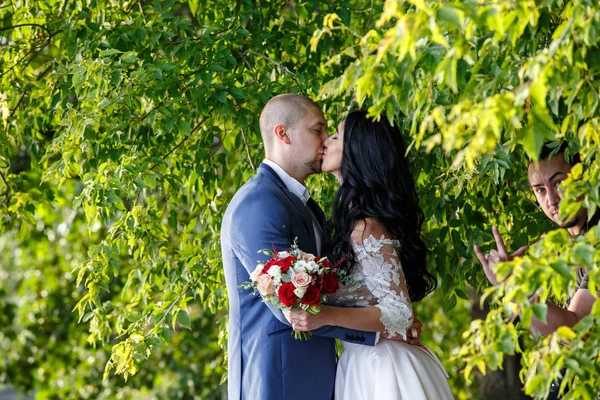 Novia y novio en un parque kissing.couple recién casados novia y novio en una boda en la naturaleza verde bosque están besando foto retrato . — Foto de Stock