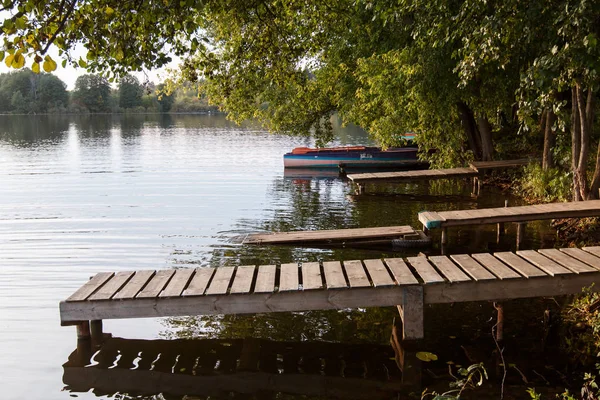 Muelle de madera en la vista lateral del lago con árboles verdes. día de verano Imágenes De Stock Sin Royalties Gratis