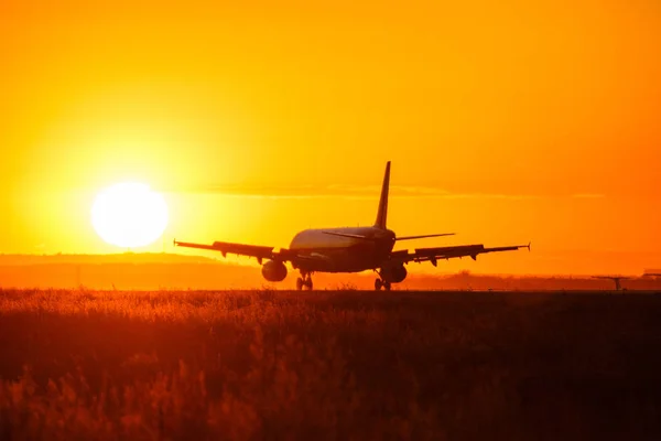 Посадка великого літака під час заходу сонця — стокове фото
