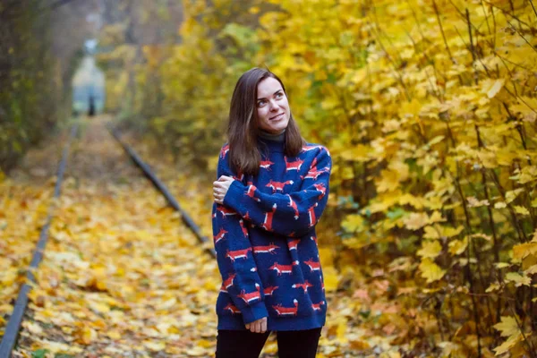 Portret van een mooi jong meisje buiten. herfst — Stockfoto
