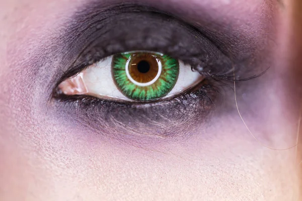 Olhos Brilhantes Fotografias De Banco De Imagens Imagens Livres De Direitos Autorais Olhos Brilhantes Depositphotos