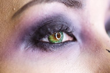 Closeup makro parlak makyaj ile yeşil göz