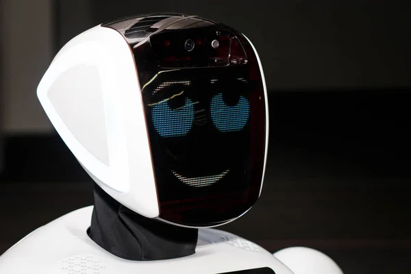 Kazan, Tataristan Cumhuriyeti, Rusya Federasyonu - 12 Mart: robot depodaki sergisinde 