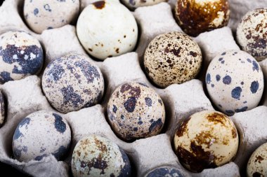  Üstten Görünüm Paskalya bıldırcın yumurtası bir kutu içinde