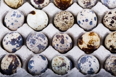  Üstten Görünüm Paskalya bıldırcın yumurtası bir kutu içinde