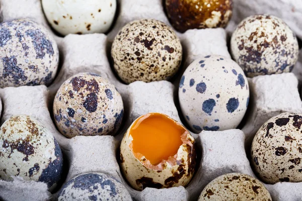 Arriba Ver huevos de codorniz de Pascua en una caja Imagen De Stock