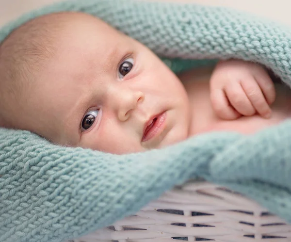 신생아의 초상화 — 스톡 사진