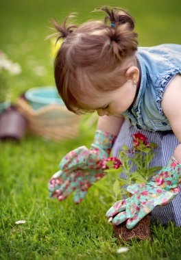 Bahçe, keşfetmek ve dikim