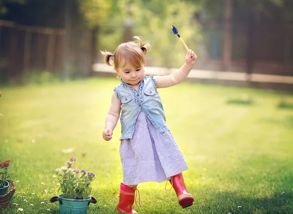 Gardening, discovering and planting — Stock Photo, Image