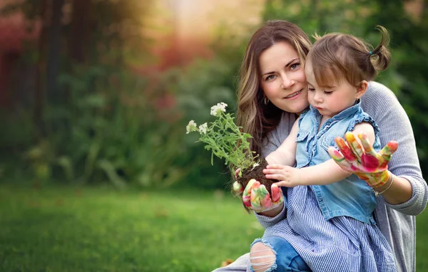 Gardening, discovering and teaching concept — Stock Photo, Image