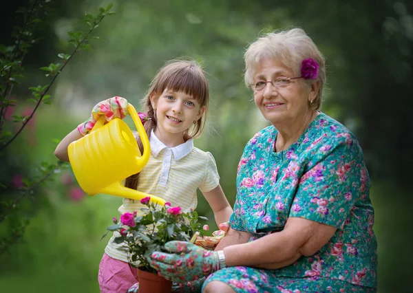 Gardening, discovering and teaching concept — Stock Photo, Image