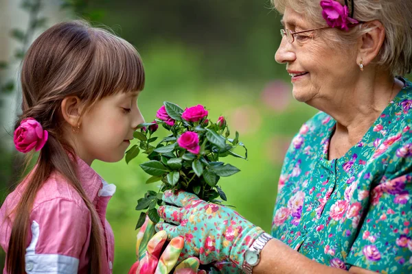 Jardinagem, descoberta e conceito de ensino — Fotografia de Stock