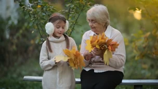 祖母与孙女在秋天的花园里 — 图库视频影像