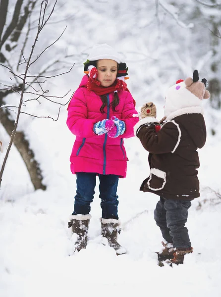 Winter Leuke Kinderen Hebben Plezier Buiten — Stockfoto