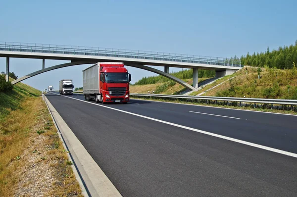 Vrachtwagens op asfalt snelweg gaat onder een betonnen brug op het platteland. Zonnige dag met blauwe lucht. — Stockfoto