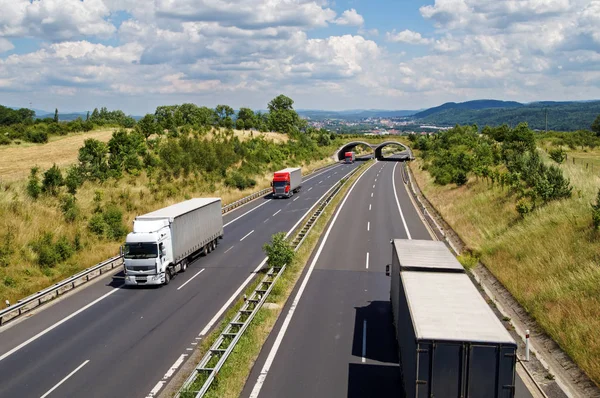 Trucks traveling the highway corridor with ecoduct. City and forested mountains in the background. Sunny summer day. View from above. Stock Picture