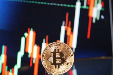 Bitcoin boğa grafik ralli